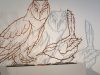 bird-series-by-kirkpatrick-mace