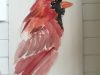 cardinal-in-glass