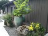 studio-garden