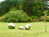 speidel-sculptures-in-the-wild