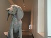 tacoma-art-museum