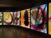 chihuly-at-museum-of-glass